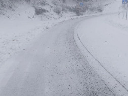 გზების დეპარტამენტი