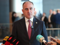  დავით ნარმანია