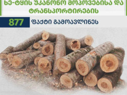 ეროვნული სატყეო სააგენტო ეროვნული სატყეო სააგენტო