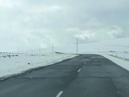 მოძრაობა აღდგა