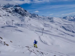 მთის ტრასების სააგენტო მთის ტრასების სააგენტო