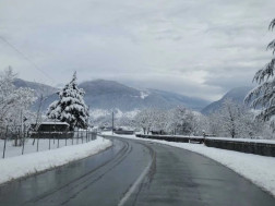 გზების დეპარტამენტი