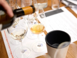 ღვინის ეროვნული სააგენტო