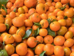 მანდარინი