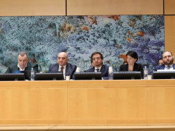 რატი იონათამიშვილმა და თორნიკე ფაღავა