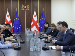 დავით სონღულაშვილი UNDP-ის წარმომადგენელს და კორეელ საერთაშორისო ექსპერტს შეხვდა