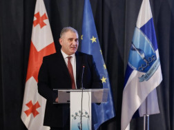 მიხეილ სარჯველაძე