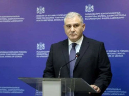 მიხეილ სარჯველაძე