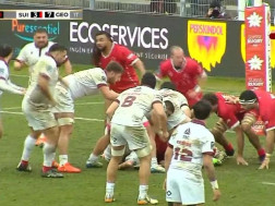 ბორჯღალოსნებისა