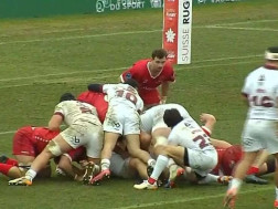 ბორჯღალოსნებ