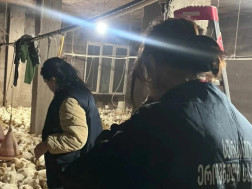 ფრინველის არალეგალური სასაკლაოები 