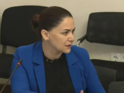 კომპანია „ყვარლის ბაგას“ დირექტორი 