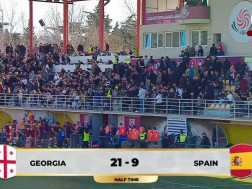 ბორჯღალოსნები