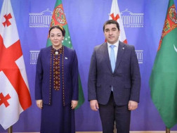 შალვა პაპუაშვილი 