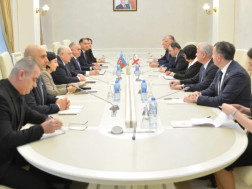 საპარლამენტო დელეგაცია 