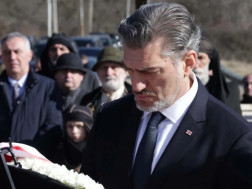 მიხეილ ყაველაშვილი