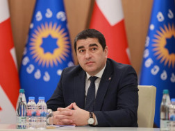 შალვა პაპუაშვილი