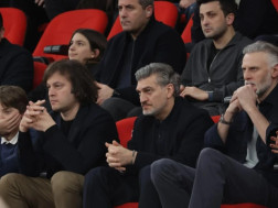 მიხეილ ყაველაშვილი