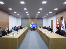 გეკა გელაძე ეუთოს საპარლამენტო ასამბლეის პრეზიდენტს შეხვდა