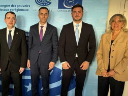 საპარლამენტო დელეგაცია