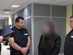 შსს - დაკავება