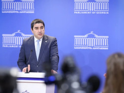 შალვა პაპუაშვილი