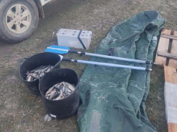 ბრაკონიერობის ფაქტი ბრაკონიერობის ფაქტი