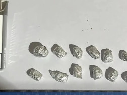 ნარკოტიკი             