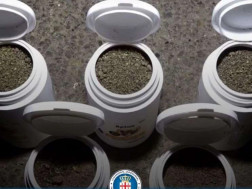 ნარკოტიკი