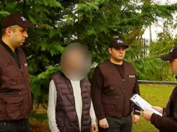 დაკავება        