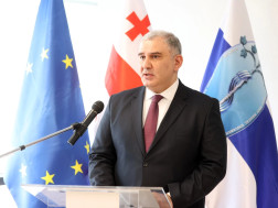 მიხეილ სარჯველაძე