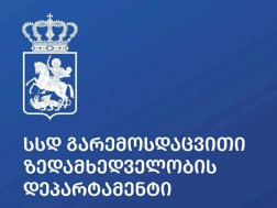  გარემოსდაცვითი ზედამხედველობის დეპარტამენტი