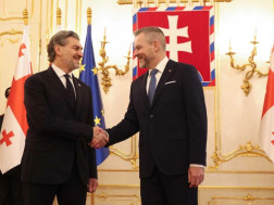 მიხეილ ყაველაშვილ