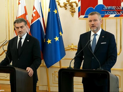 პეტერ პელეგრინი