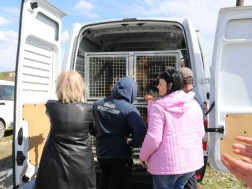 სურსათის ეროვნული სააგენტო