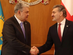 მიხეილ ყაველაშვილი