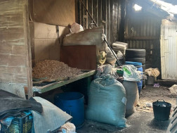 სურსათის ეროვნულმა სააგენტომ