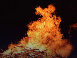 ჭიაკოკონობა