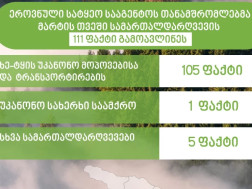 სამართალდარღვევი