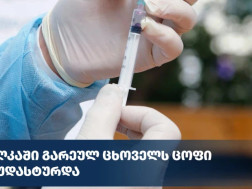 ცოფიცოფი