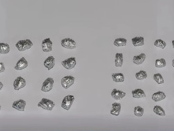  დაკავებულია 4 პირი