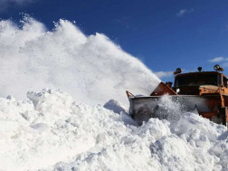 მსუბუქი ავტოტრანსპორტის მოძრაობა 