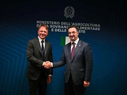 დავით სონღულაშვილ