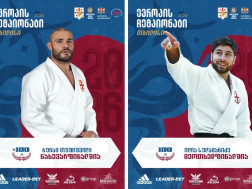 ილია სულამანიძე 