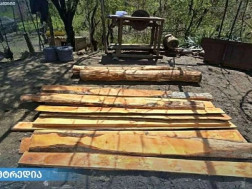 უკანონო სახერხი