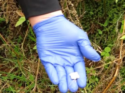 ნარკოტიკი 