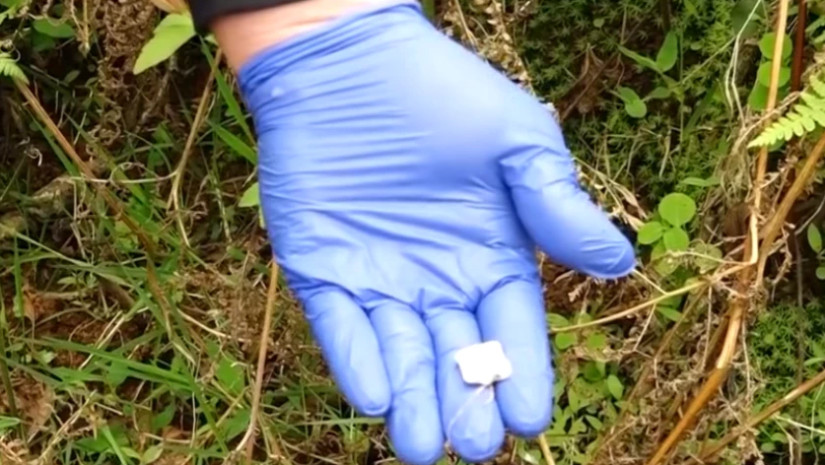 ნარკოტიკი 