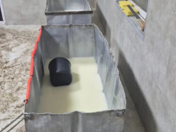 სურსათის ეროვნულმა სააგენტო