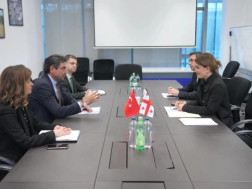 თამარ იოსელიანმა