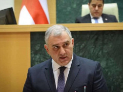 მიხეილ სარჯველაძე